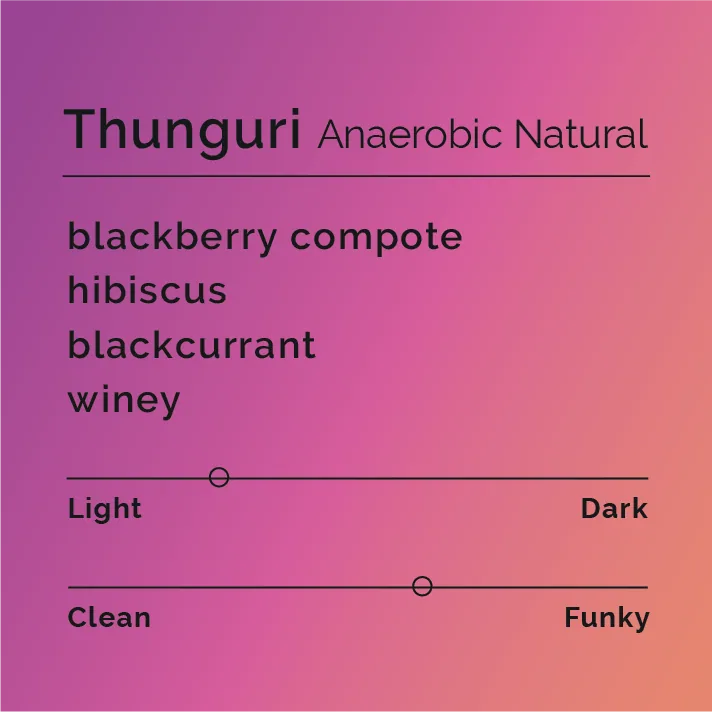 thunguri - anaerobic natural, kenya coffee from black & white coffee roasters