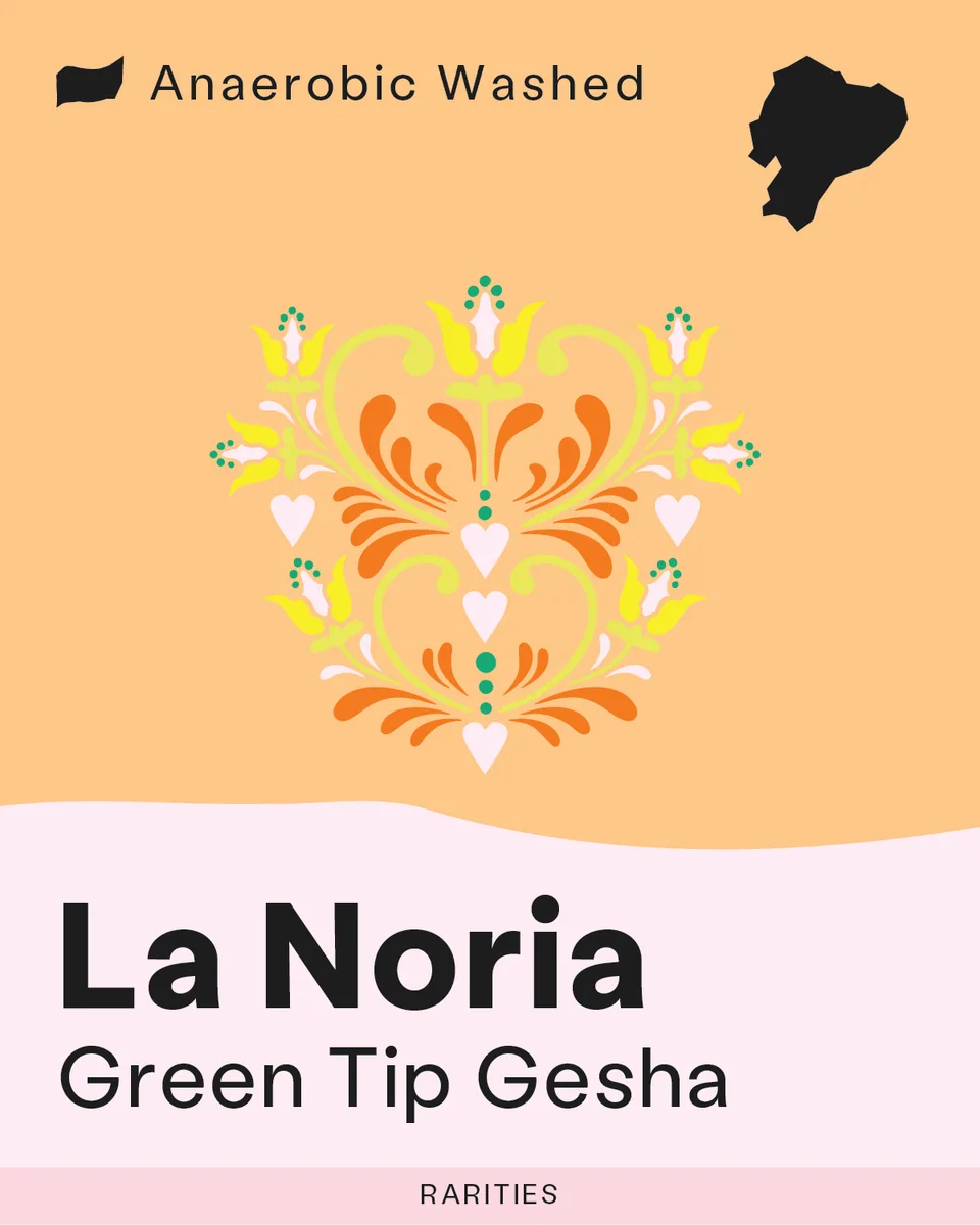 rarities: la noria - green tip gesha, ecuador coffee from sk coffee: whittier