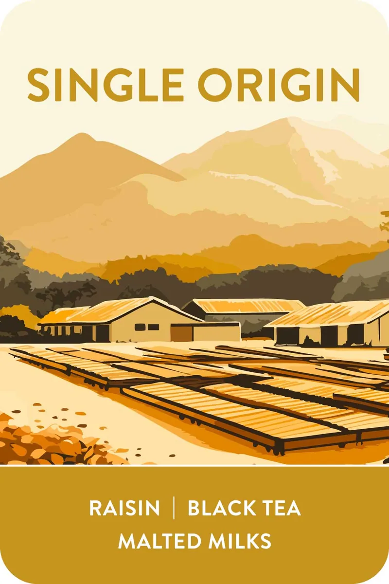indonesia | kerinci, indonesia coffee from voyager coffee