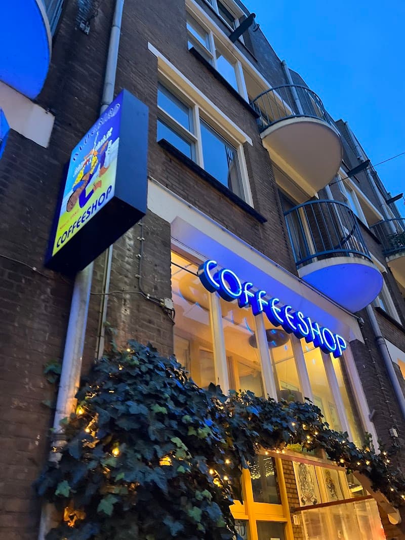 Coffeeshop Bluebird in Amsterdam, specialty coffee cafe