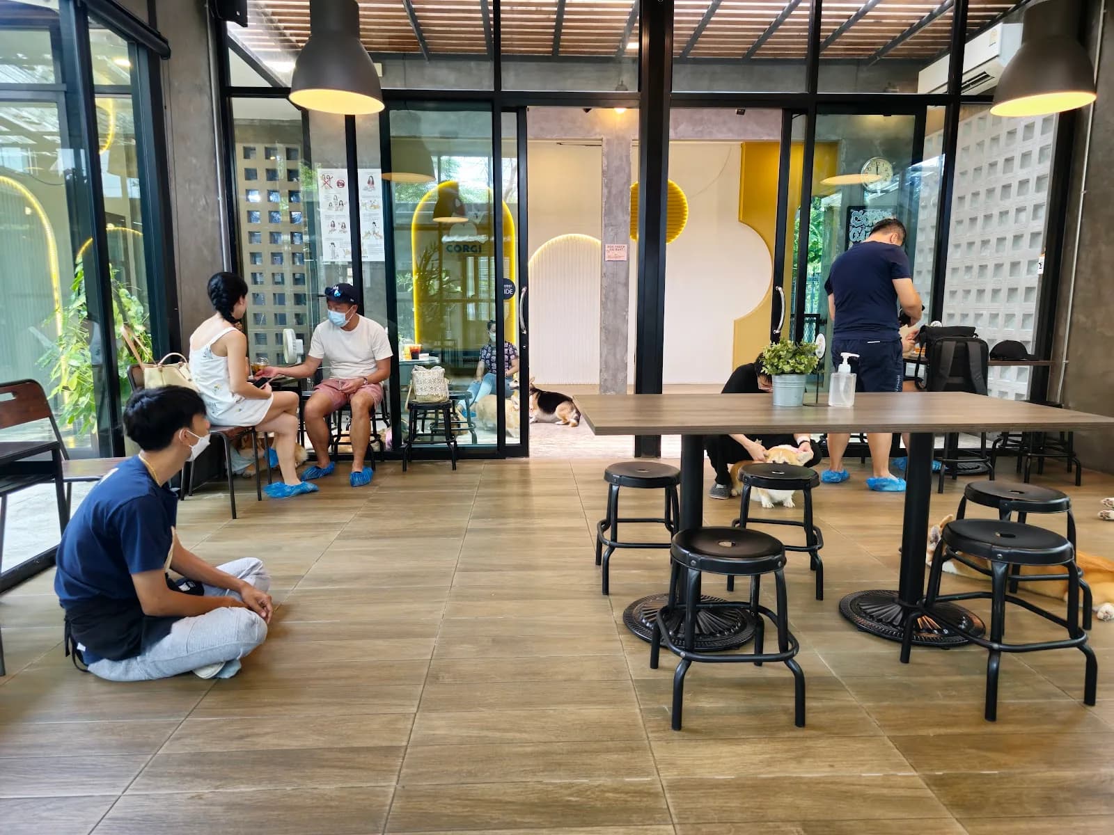 CORGI IN THE GARDEN in Bangkok, specialty coffee cafe