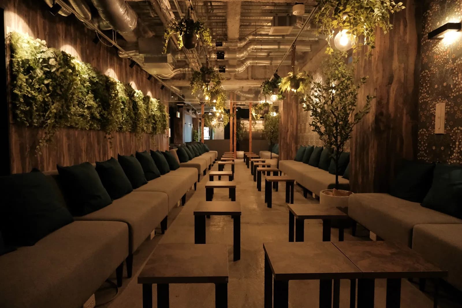 C.STAND in Osaka, specialty coffee cafe