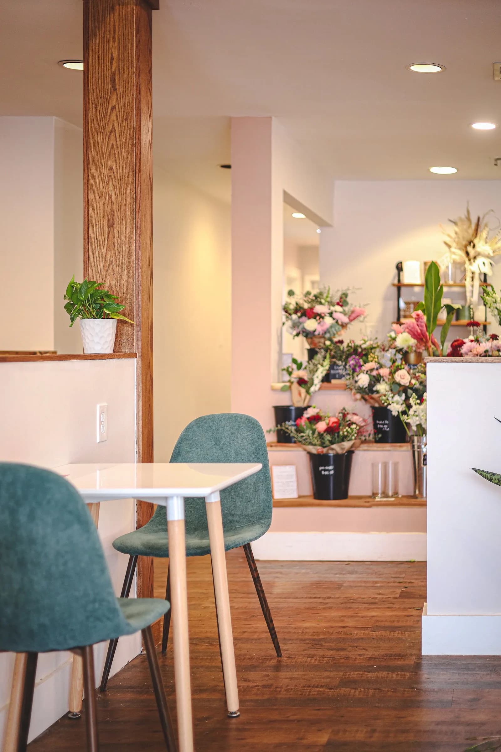Cultivate Coffee + Flowers in Knoxville, specialty coffee cafe