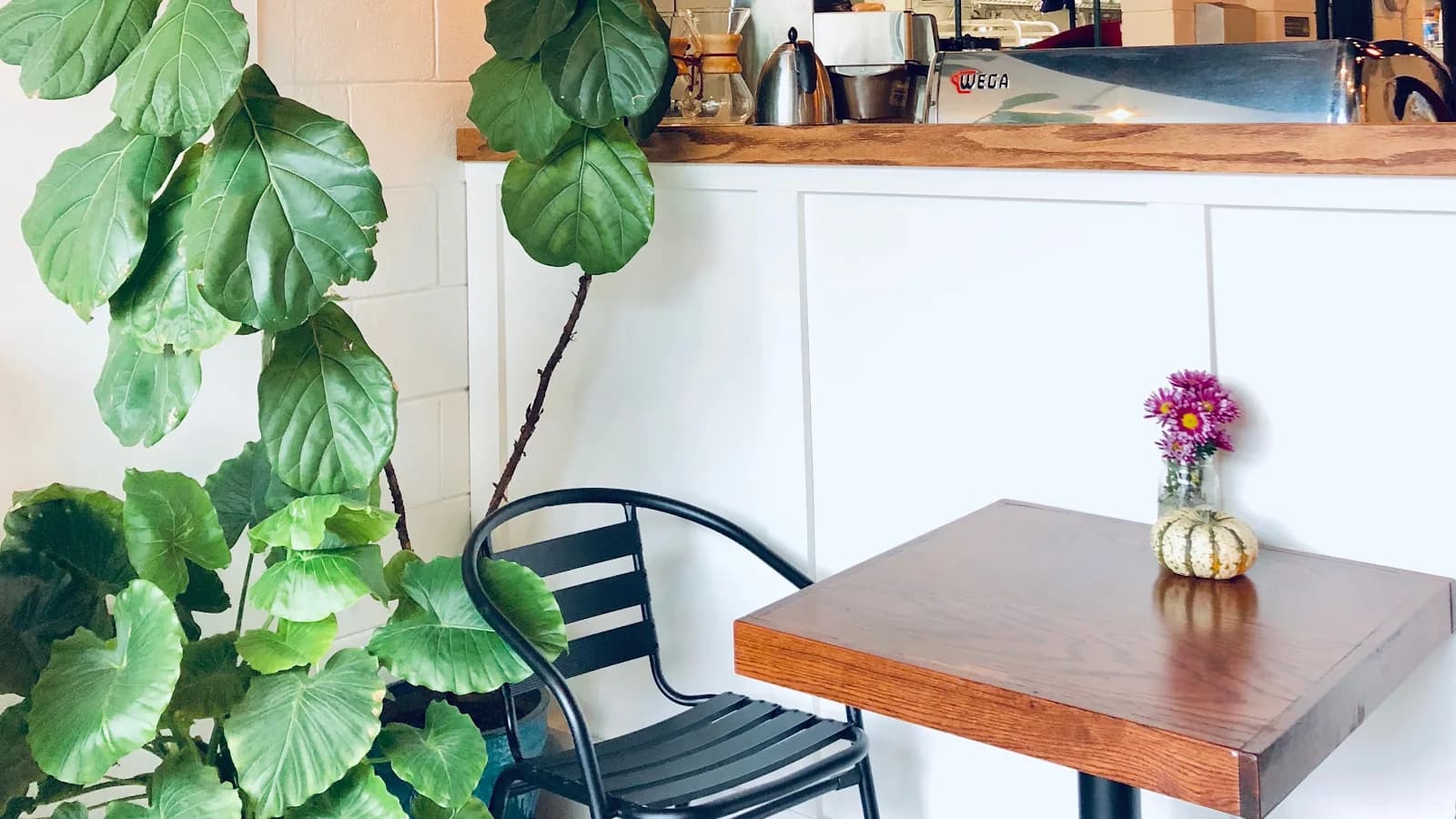Cultivate Coffee Roasters in Raleigh, specialty coffee cafe