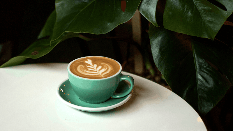 Dagger Mountain Roastery in Valparaiso, specialty coffee roaster