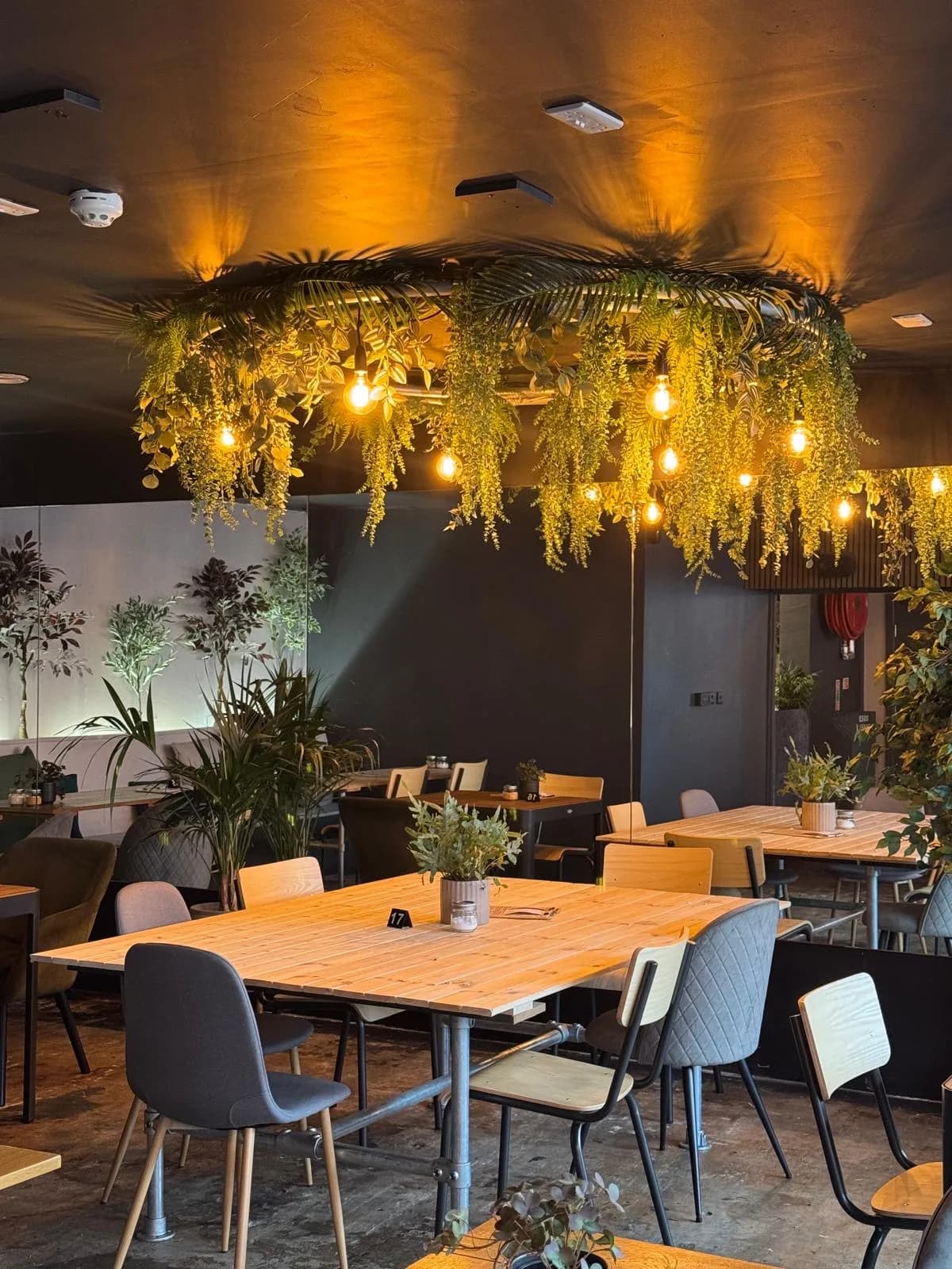 Daily Grind Coffee Co in Dundee, specialty coffee cafe