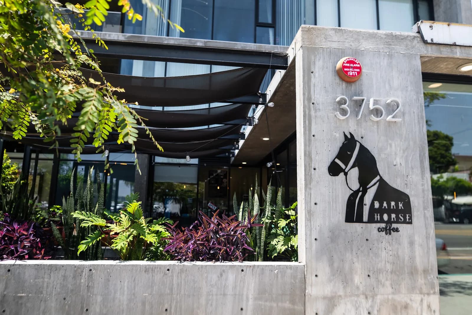 Dark Horse Coffee Roasters in San Diego, specialty coffee cafe