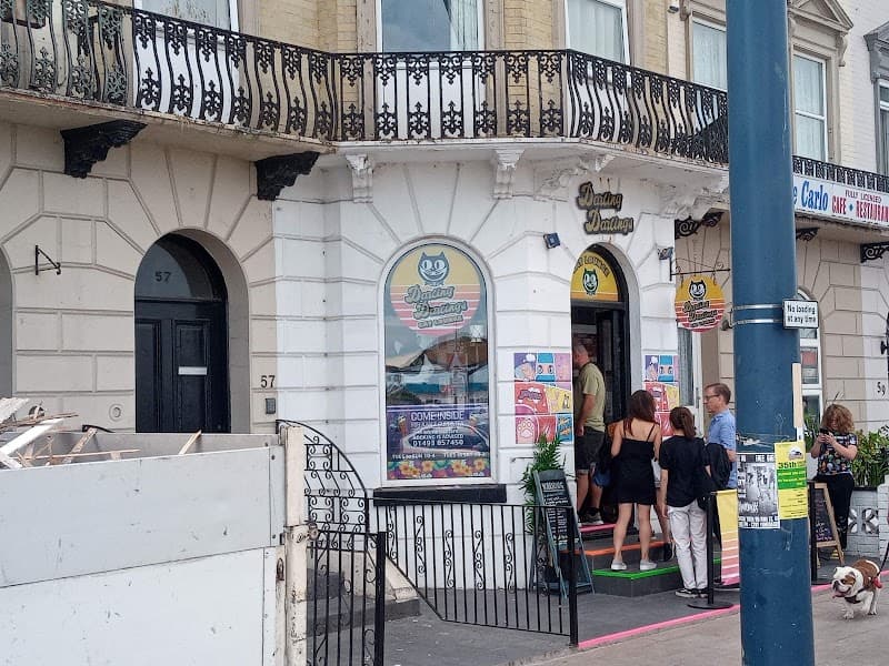 Darling Darlings Cat Lounge in Great Yarmouth, specialty coffee cafe