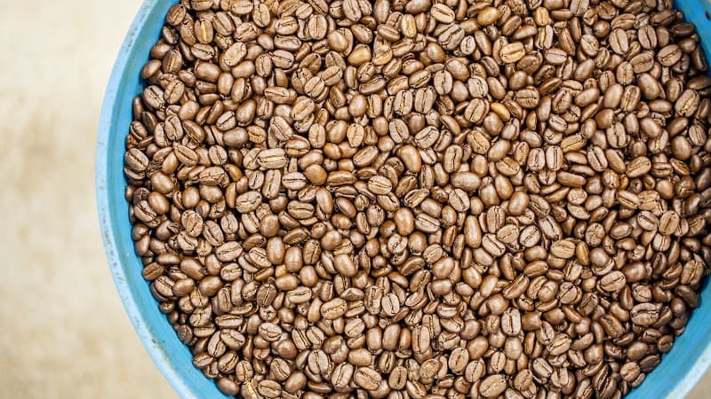 Dean's Beans Organic Coffee Company in Orange, specialty coffee roaster