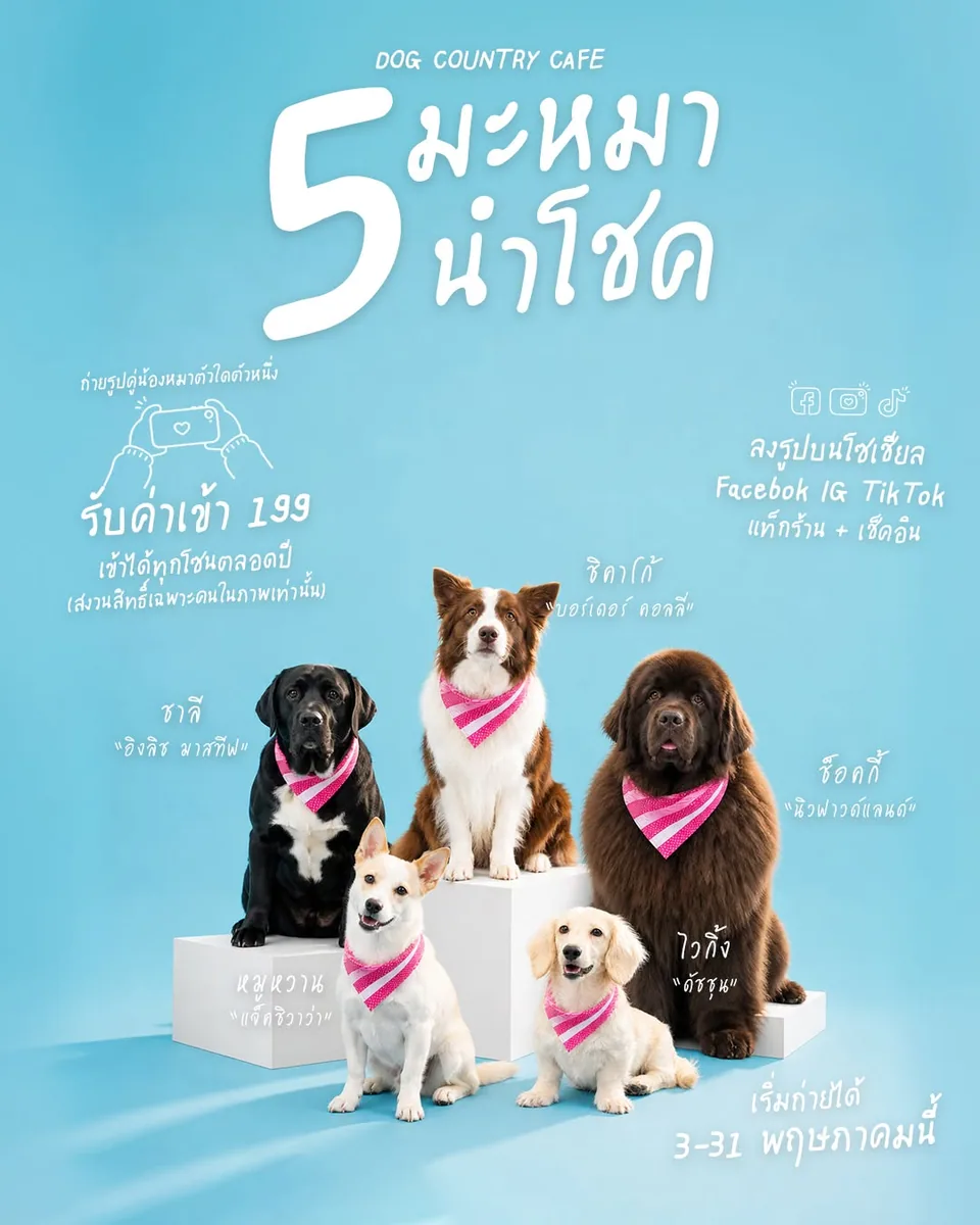 Dog Country Cafe in Bangkok, specialty coffee cafe
