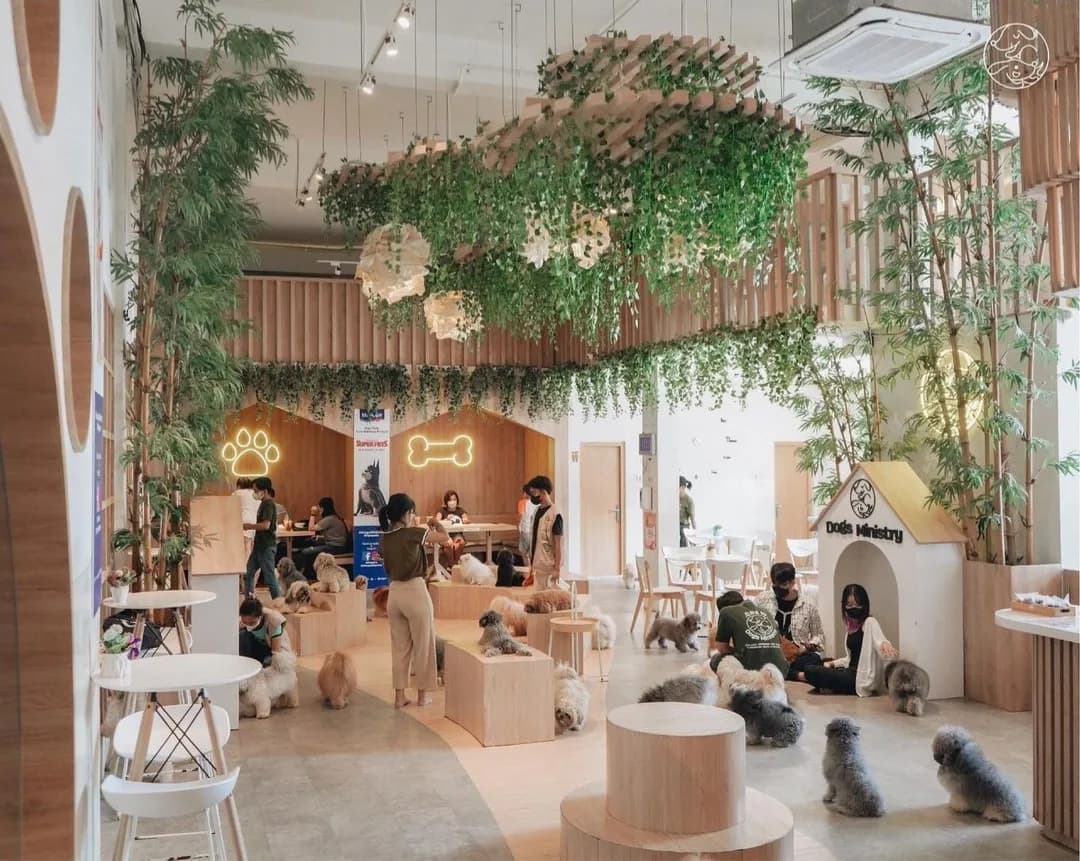 Dogs Ministry | Dog Cafe • Grooming • SPA • Dog Park • Pet Shop • Dog Pool • Dog Hotel & Day Care | in Jakarta, specialty coffee cafe