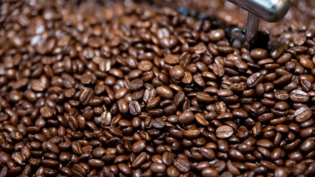 East Coast Roast Coffee in Hempstead, specialty coffee roaster