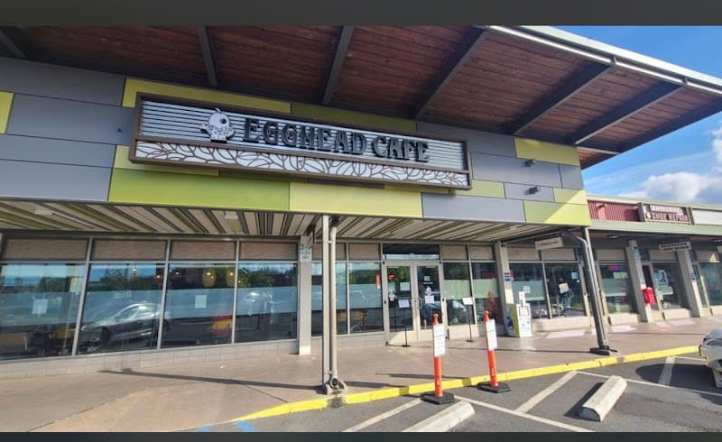 Egghead Cafe in Honolulu, specialty coffee cafe