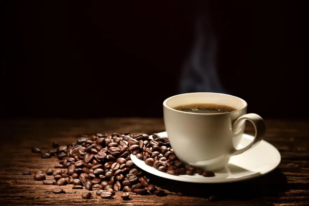 Eldorado Coffee Roasters in New York City, specialty coffee roaster