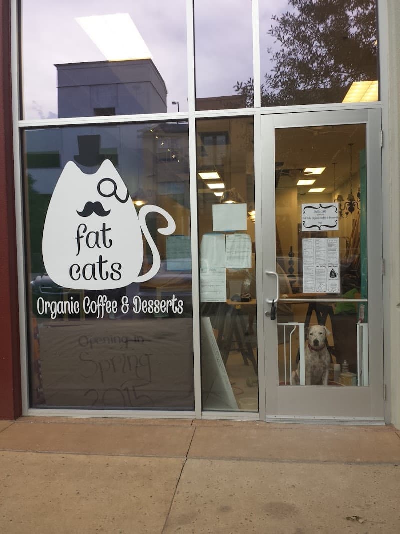 Fat Cats Organic Coffee & Desserts in Austin, specialty coffee cafe