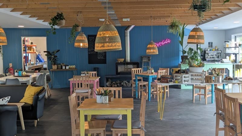 Ferne Animal Sanctuary Charity in Chard, specialty coffee cafe