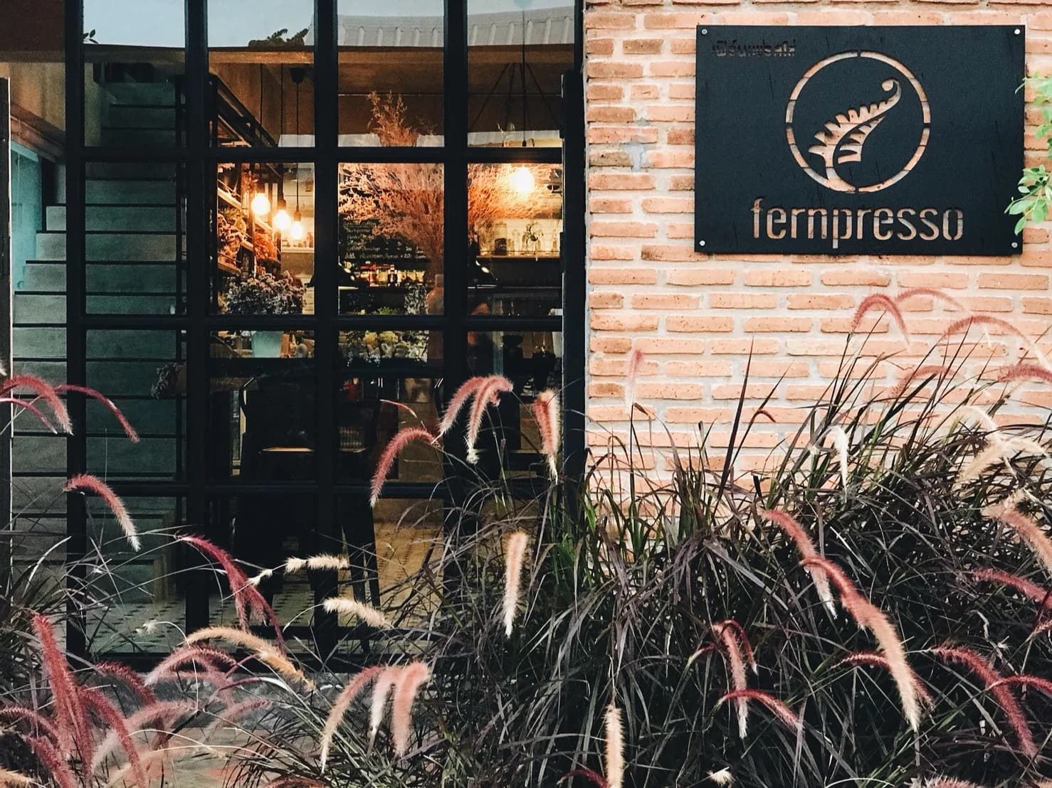 Fernpresso Cafe in Chiang Mai, specialty coffee cafe