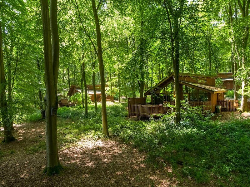 Forest Holidays Blackwood Forest in Winchester, specialty coffee cafe