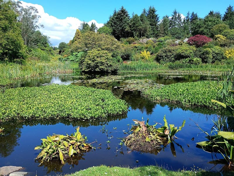 Glenwhan Gardens and Tearoom in Dumfries, specialty coffee cafe