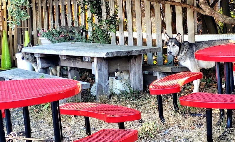 Green Salmon Coffee Company in Waldport, specialty coffee cafe