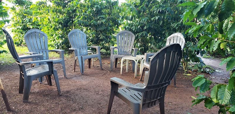 Green World Coffee Farm in Honolulu, specialty coffee cafe