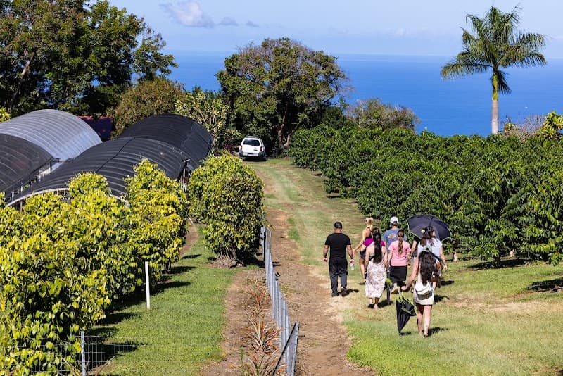 Greenwell Farms in Kealakekua, specialty coffee roaster
