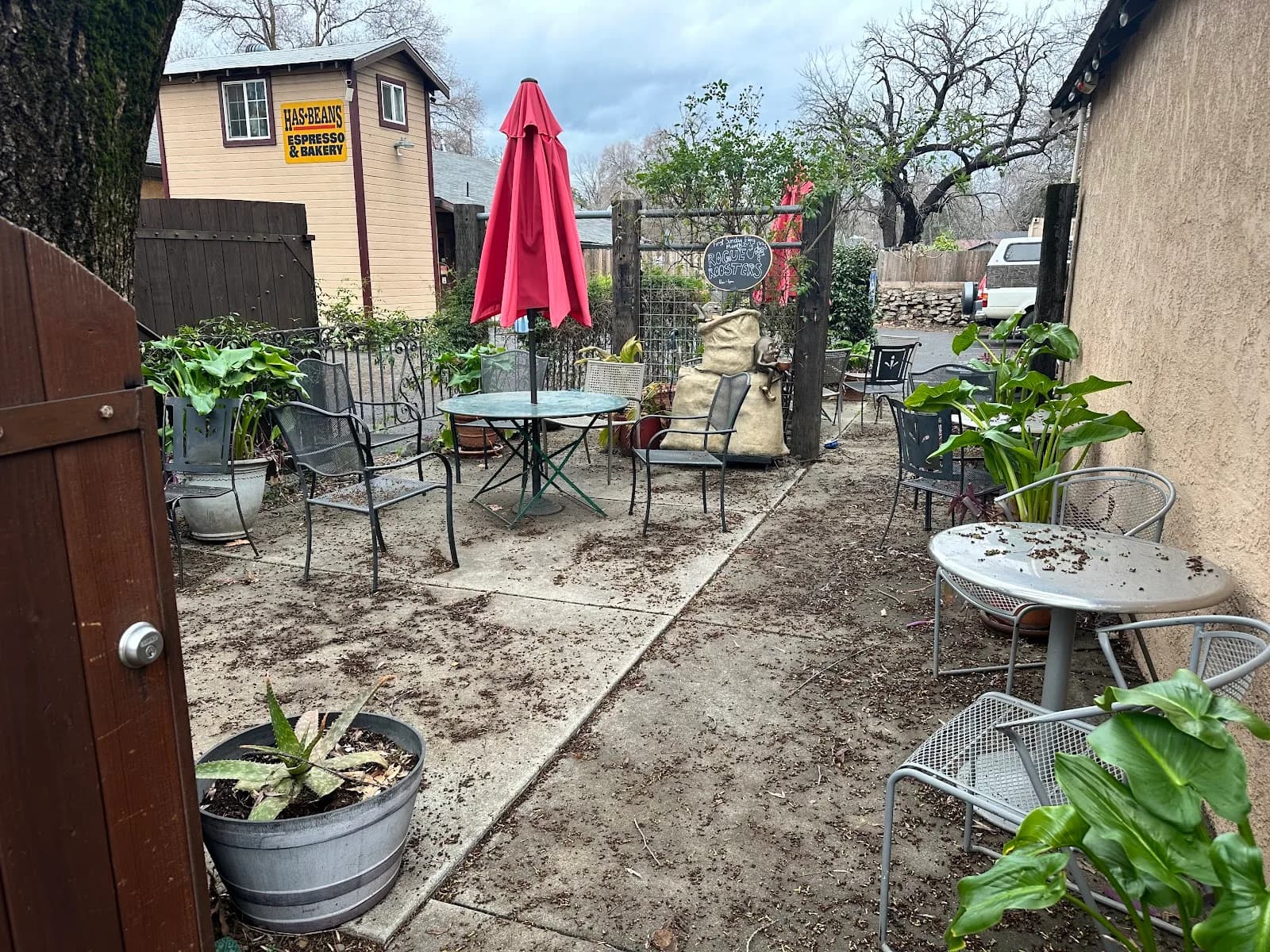 Has Beans Coffee & Tea in Chico, specialty coffee roaster
