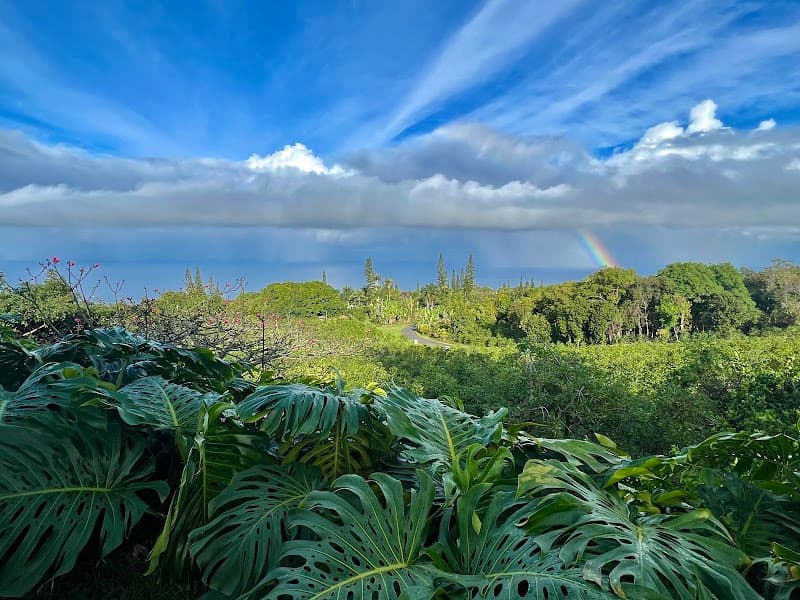 Heavenly Hawaiian Kona Coffee Farm Tours in Kailua-Kona, specialty coffee roaster