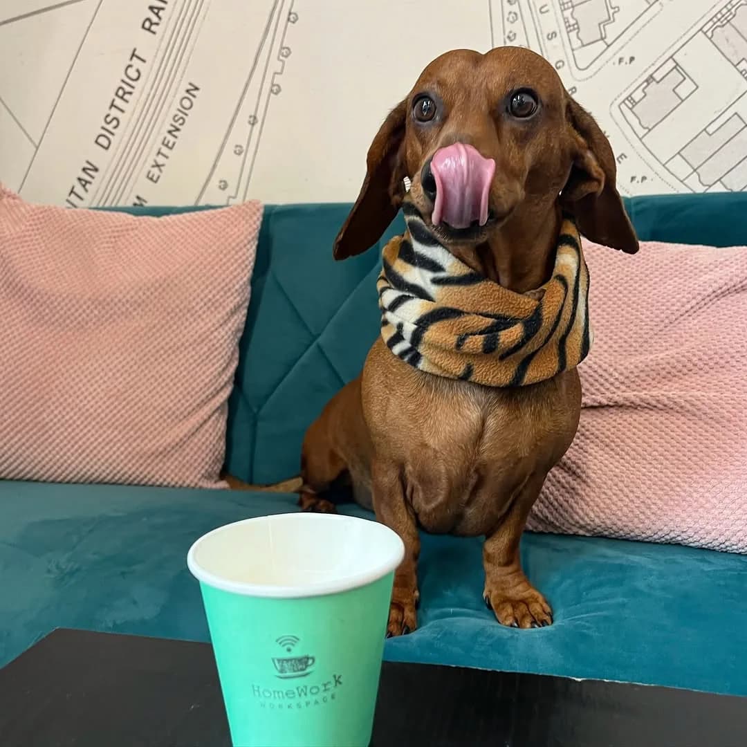HomeWork Fulham, Flexible Workspace & Café in London, specialty coffee cafe
