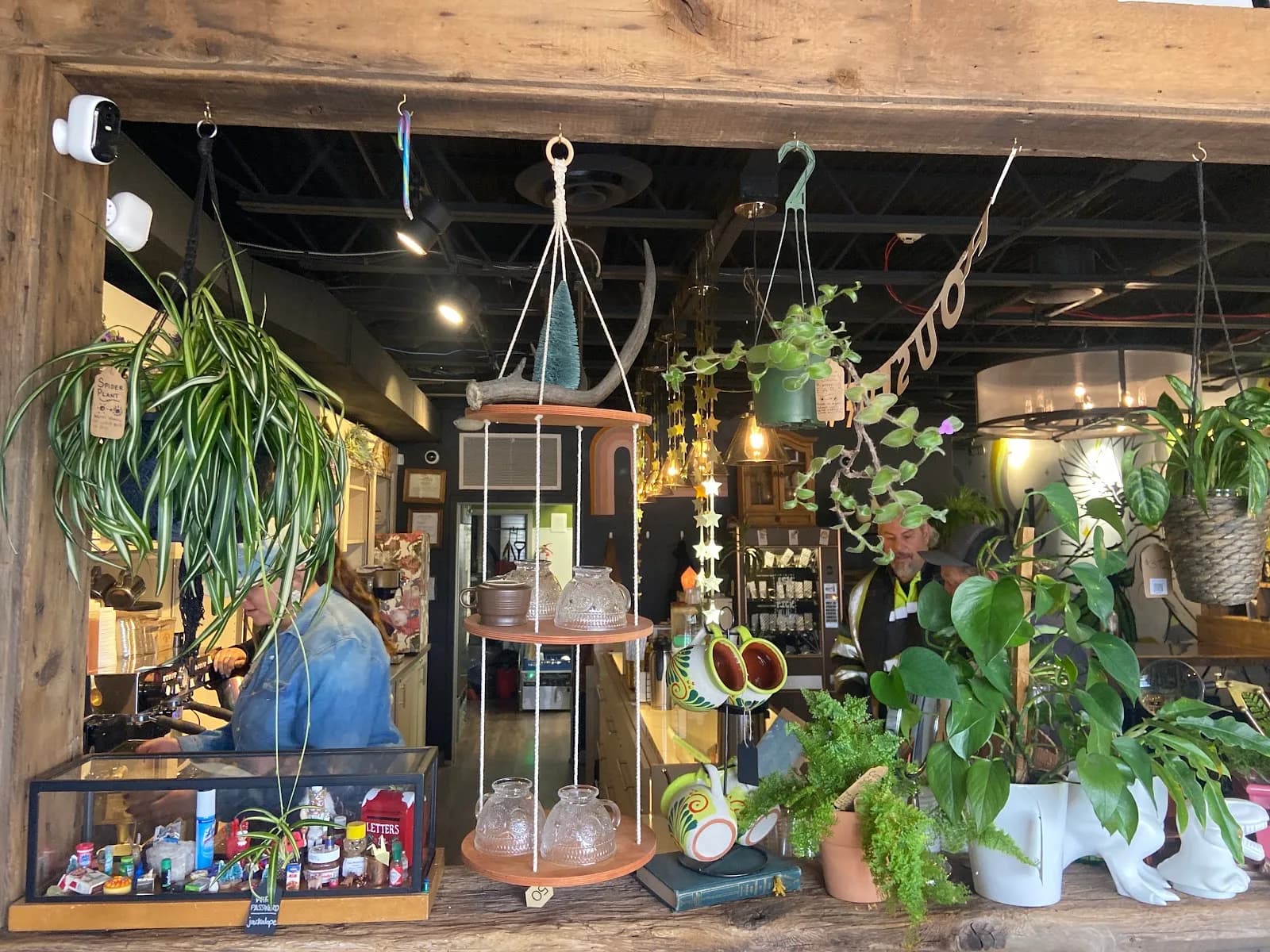 House of Vibes Coffee and Curio in Silverthorne, specialty coffee cafe