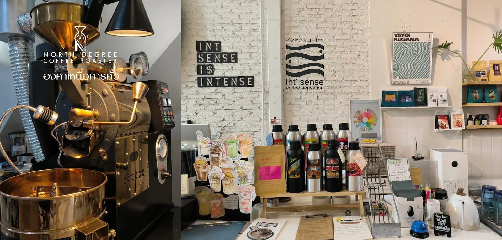 Int sense x North Degree Coffee Roaster in Chiang Mai, specialty coffee roaster