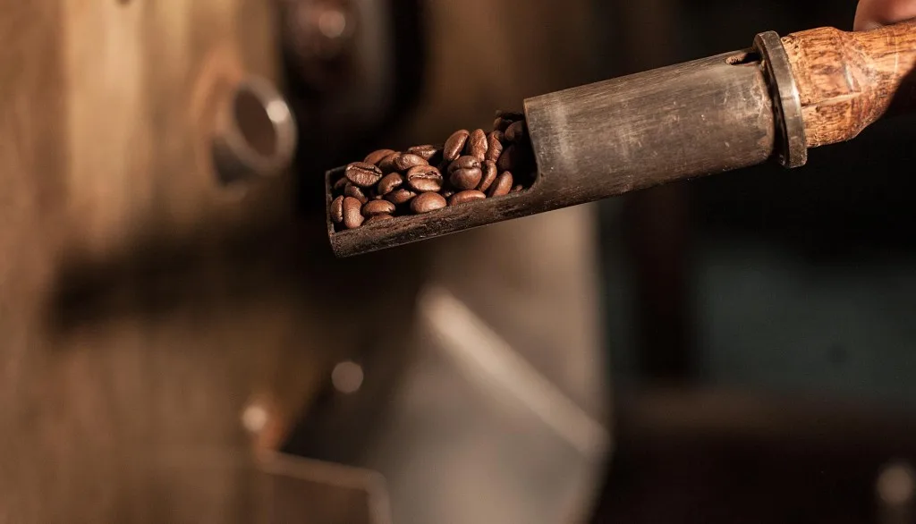 Joe's Garage Coffee in Seattle, specialty coffee roaster