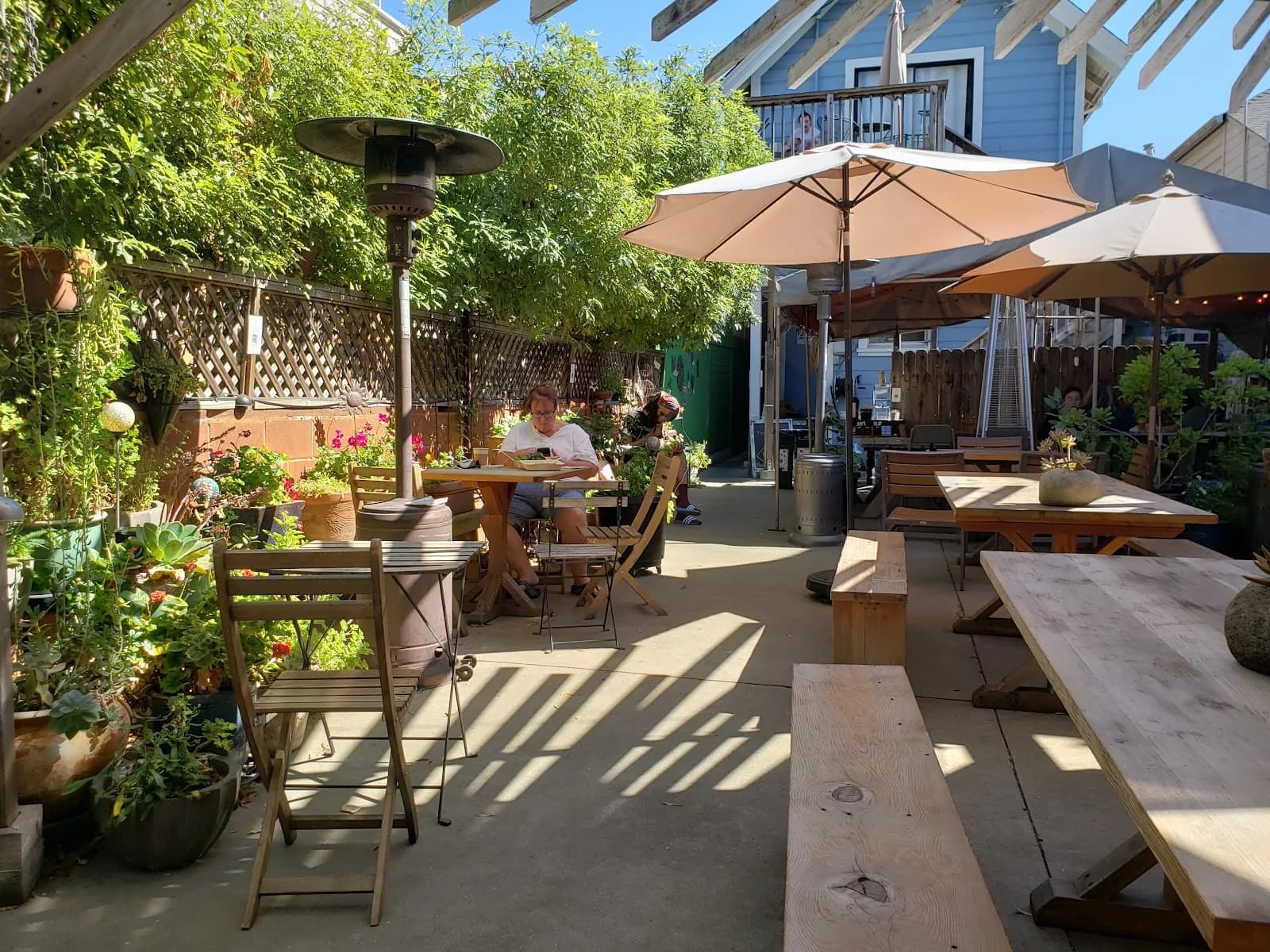 Julie's Coffee & Tea Garden in San Francisco, specialty coffee cafe