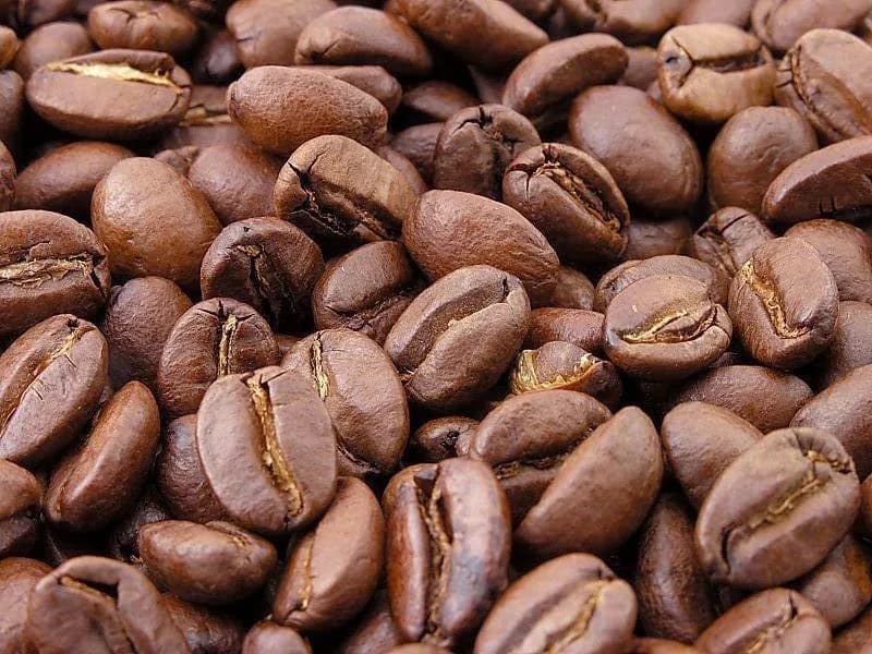 Kaldi Gourmet Coffee Roasters in Wilmington, specialty coffee roaster
