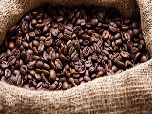 Kape Catorce Coffee in New York City, specialty coffee roaster