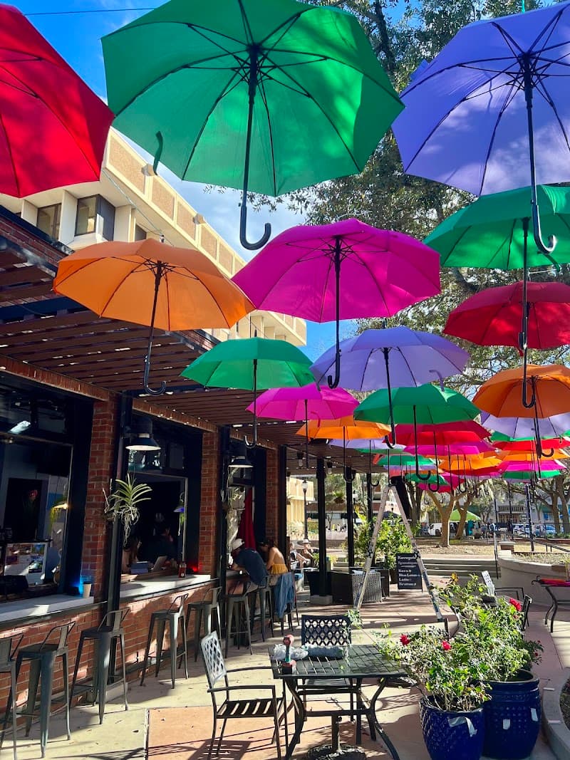 Kava Gator Coffee Shop in Gainesville, specialty coffee cafe