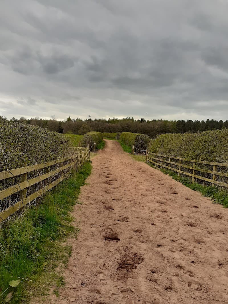 Kelsall Hill Equestrian Centre in Chester, specialty coffee cafe