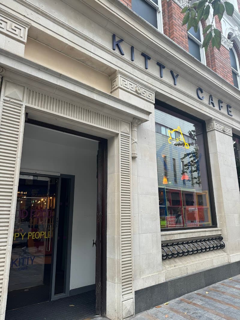 Kitty Cafe in Leeds, specialty coffee cafe
