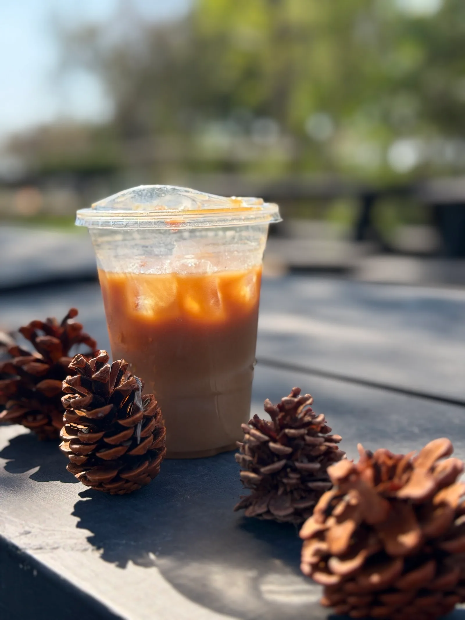 La Catrina Coffee in McAllen, specialty coffee roaster