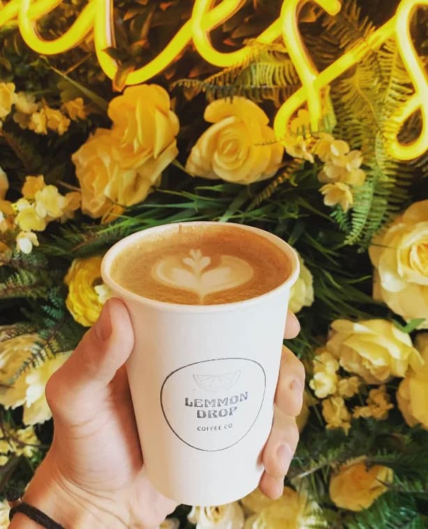 Lemmon Drop Coffee Co. in Dallas, specialty coffee roaster