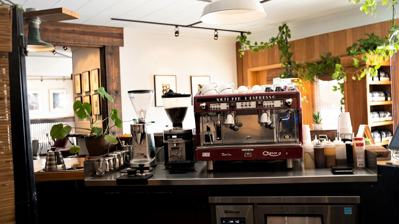 Leopard Forest Coffee Company in Travelers Rest, specialty coffee roaster