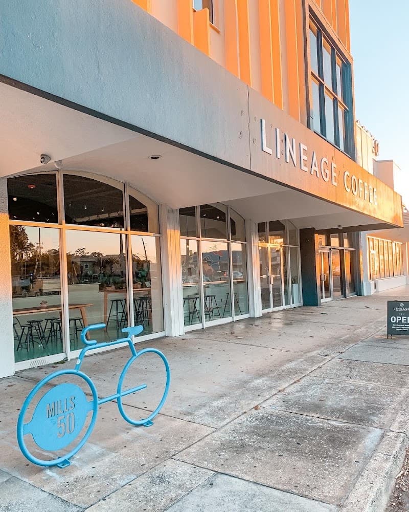 Lineage Coffee in Orlando, specialty coffee cafe