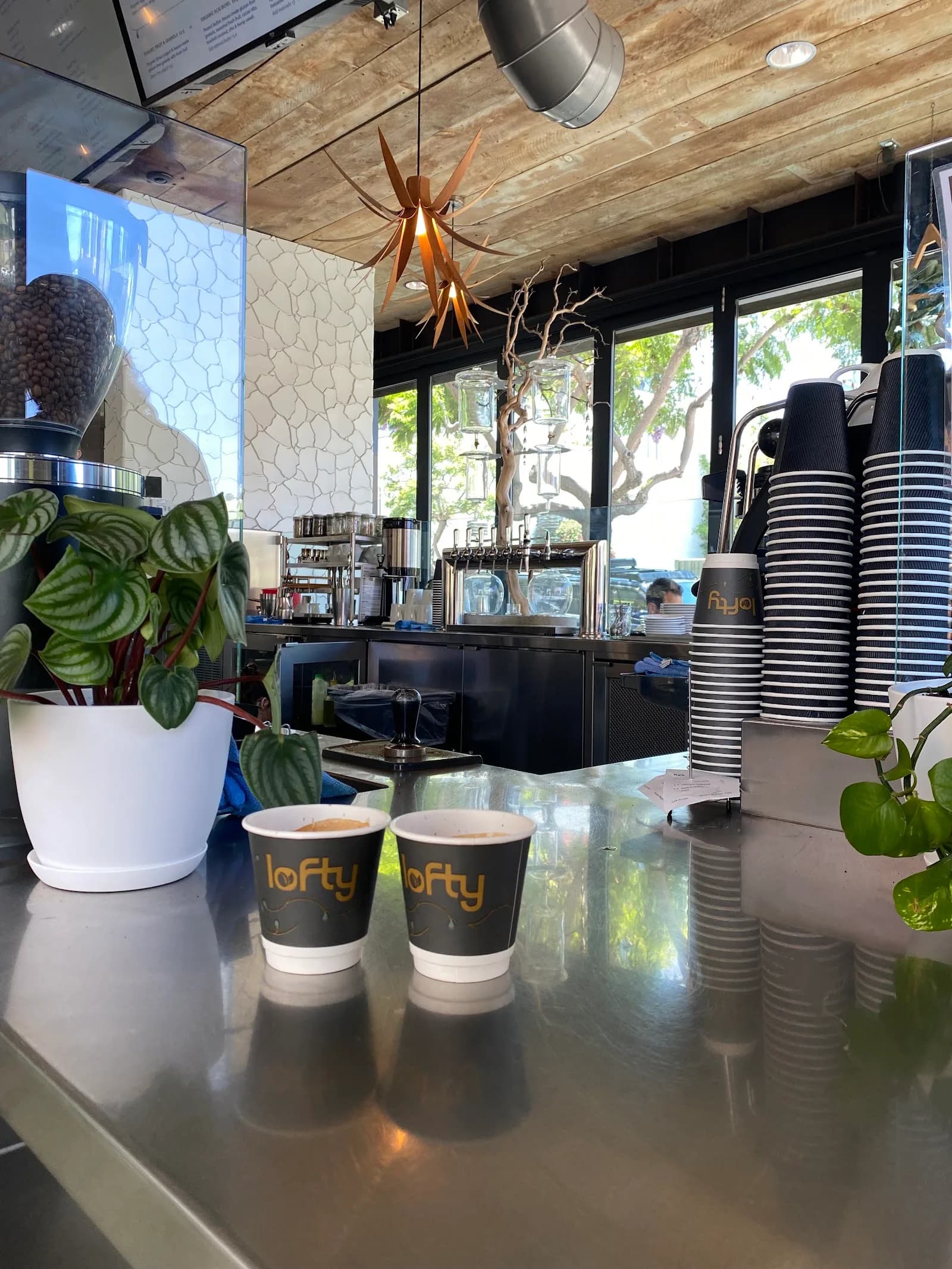 Lofty Coffee Company in San Diego, specialty coffee cafe