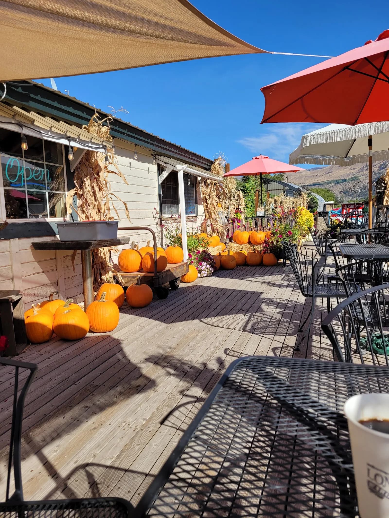 Lone Pine Fruit & Espresso in Bridgeport, specialty coffee cafe