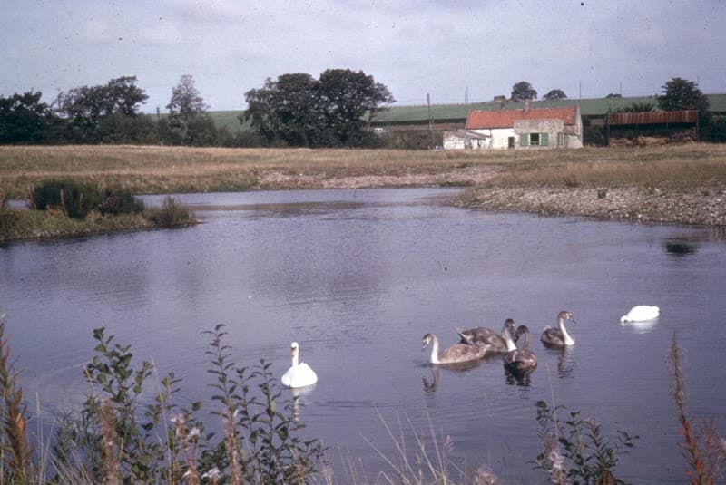Low Barns Nature Reserve and Visitor Centre in Durham, specialty coffee cafe