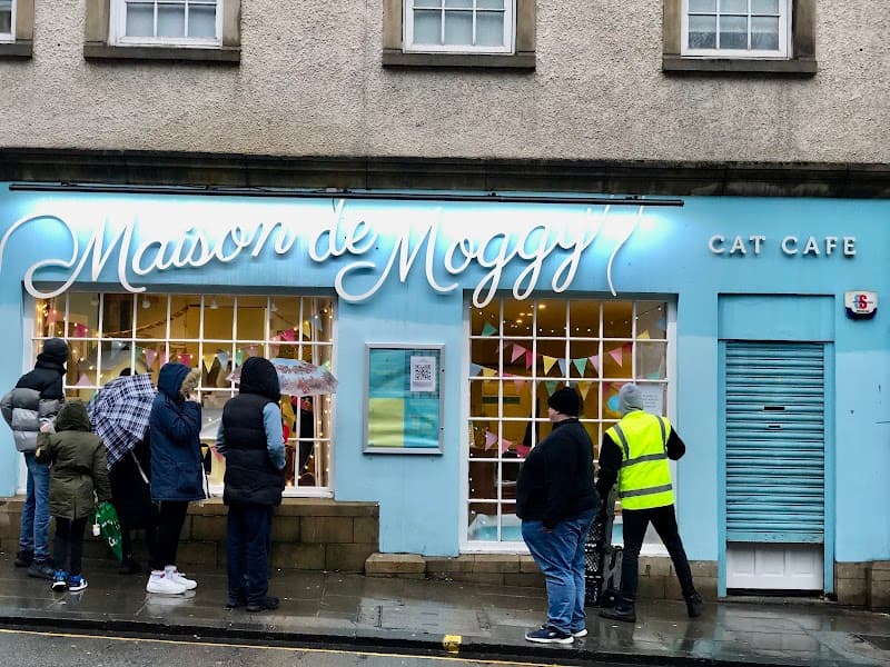 Maison de Moggy in Edinburgh, specialty coffee cafe