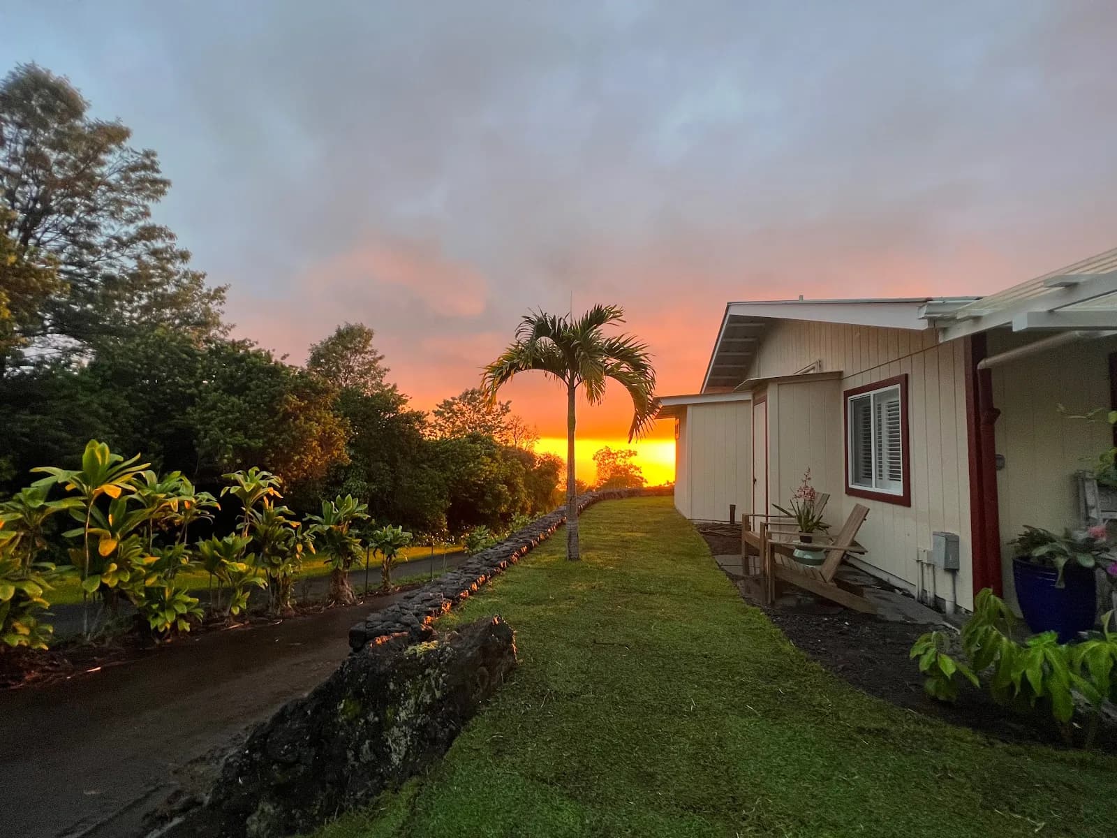 Mango Sunset BnB Inn at Lyman Kona Coffee Farms in Kailua-Kona, specialty coffee roaster