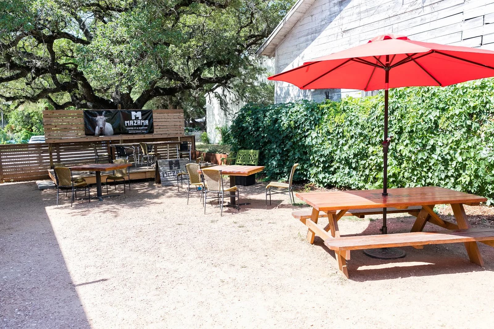 Mazama Coffee Co in Dripping Springs, specialty coffee cafe