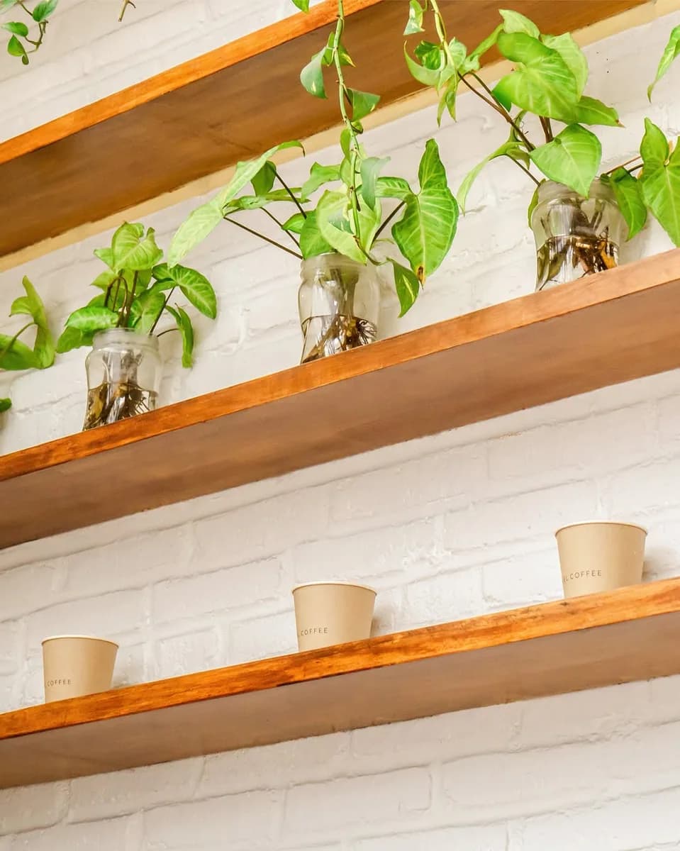 MIEL SPECIALTY COFFEE CANGGU | CO-WORKING in Canggu, specialty coffee cafe