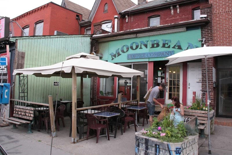 Moonbean Coffee Company in Toronto, specialty coffee cafe